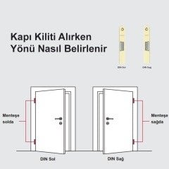 Hafele Barelli Tipi Sağ Yönlü Gömme Kilit 55/20mm, Paslanmaz Çelik Renk