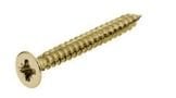 Hafele HOSPA Havşa Başlı Vida Paslanmaz Çelik Parlak Altın 6x5mm (200 Adet)