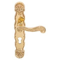 Hafele Kapı Kolu Seti Victoria Barelli Parlak Pirinç