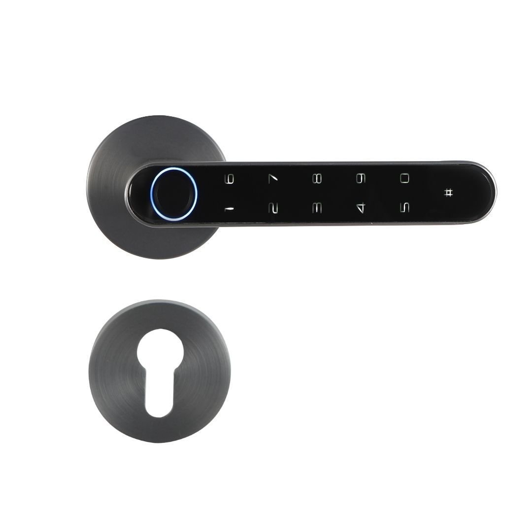 Blitz Lock Akıllı Kilit Sistemi Beta Gri