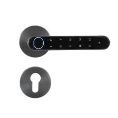 Blitz Lock Akıllı Kilit Sistemi Beta Gri