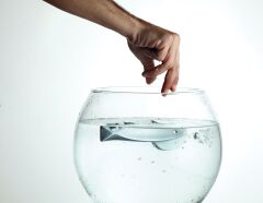 Fish Kapı Kolu Seti  Parlak Altın WC