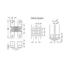 Hafele Soss Gizli Menteşe Nikel 12,8x60,3mm