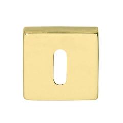 Hafele Kare Oda Kapı Kolu Rozeti 50mm, Parlak Pirinç Renk