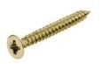 Hafele HOSPA Havşa Başlı Vida Paslanmaz Çelik Parlak Altın 5x50 mm (200 Adet)