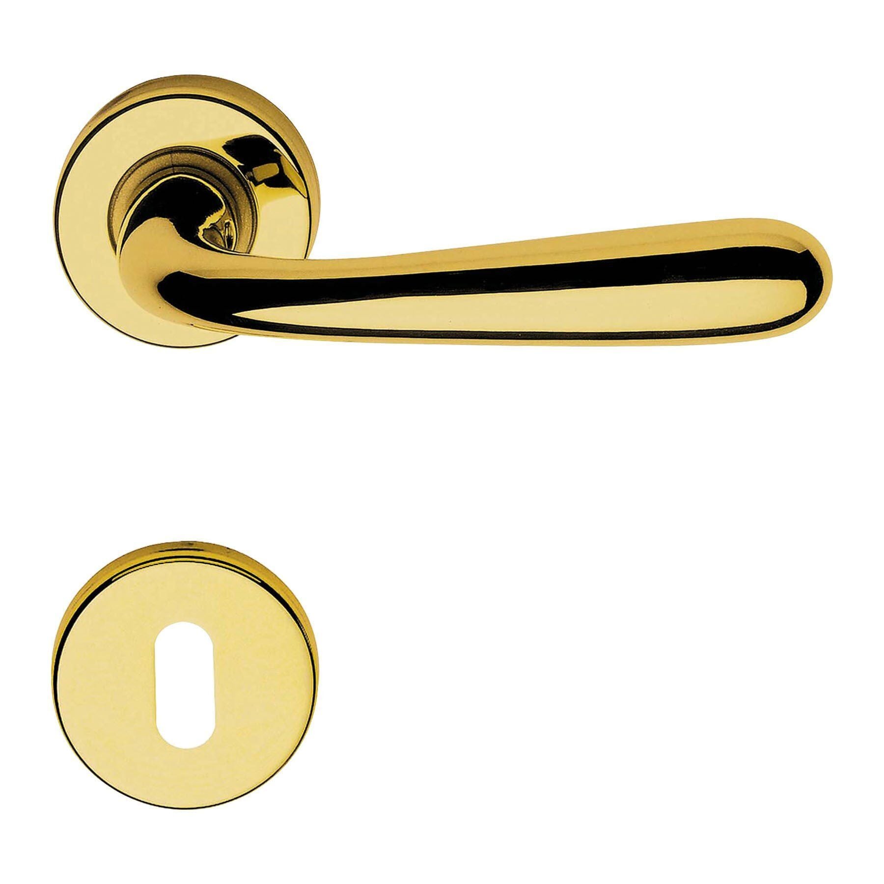 Garda Kapı Kolu Seti Parlak Pirinç Kaplama WC