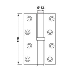 Hafele Yaprak Menteşe Binili Çelik 120mm Sağ Mat Nikel Renk